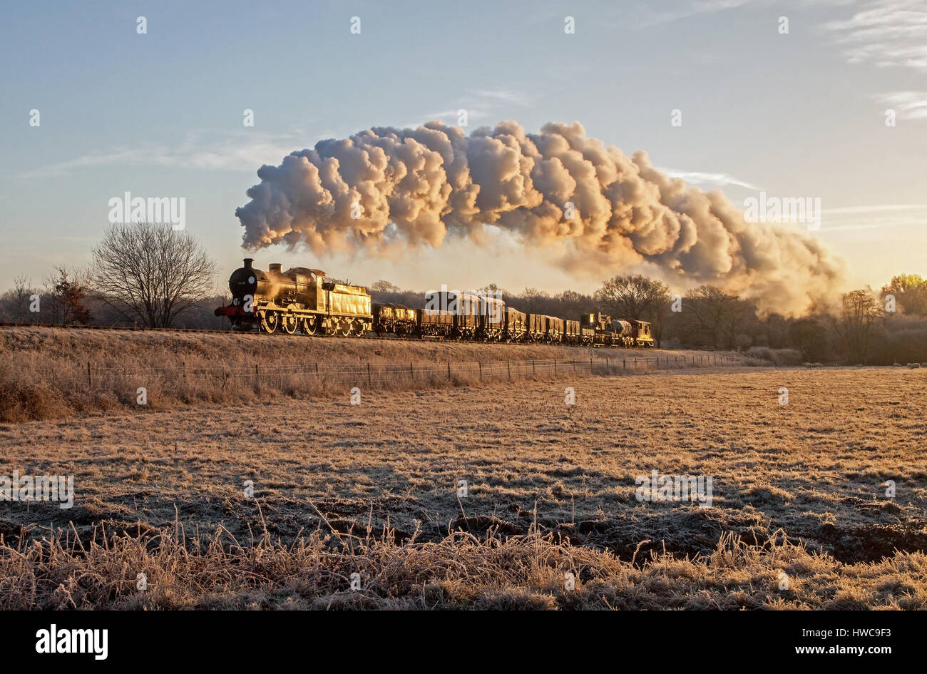 Q-Nr. 30541 schleppt ein waren am unteren Ende der Freshfields Bank, Bluebell Railway auf eine Charta Jon Bowers, 3. Januar 2017. Stockfoto