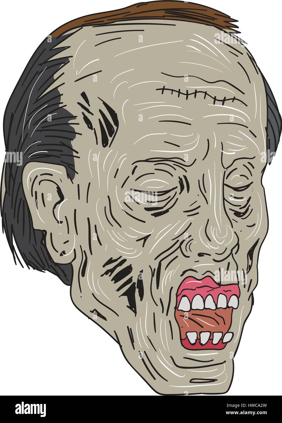 Zeichnung Skizze Stil Abbildung eines Zombie Schädel Kopf mit Augen geschlossen in eine Dreiviertelansicht auf isolierten weißen Hintergrund gesetzt. Stock Vektor