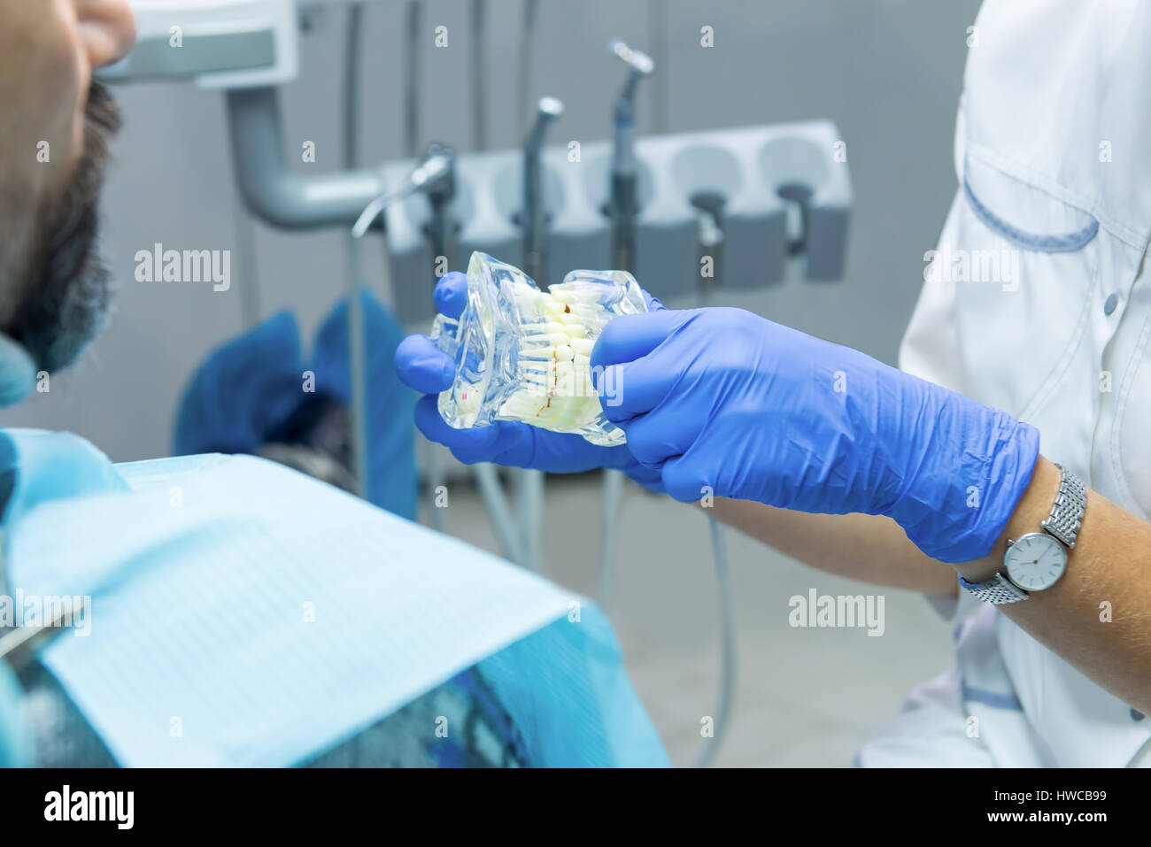 Hände halten Kiefer Modell. Stockfoto