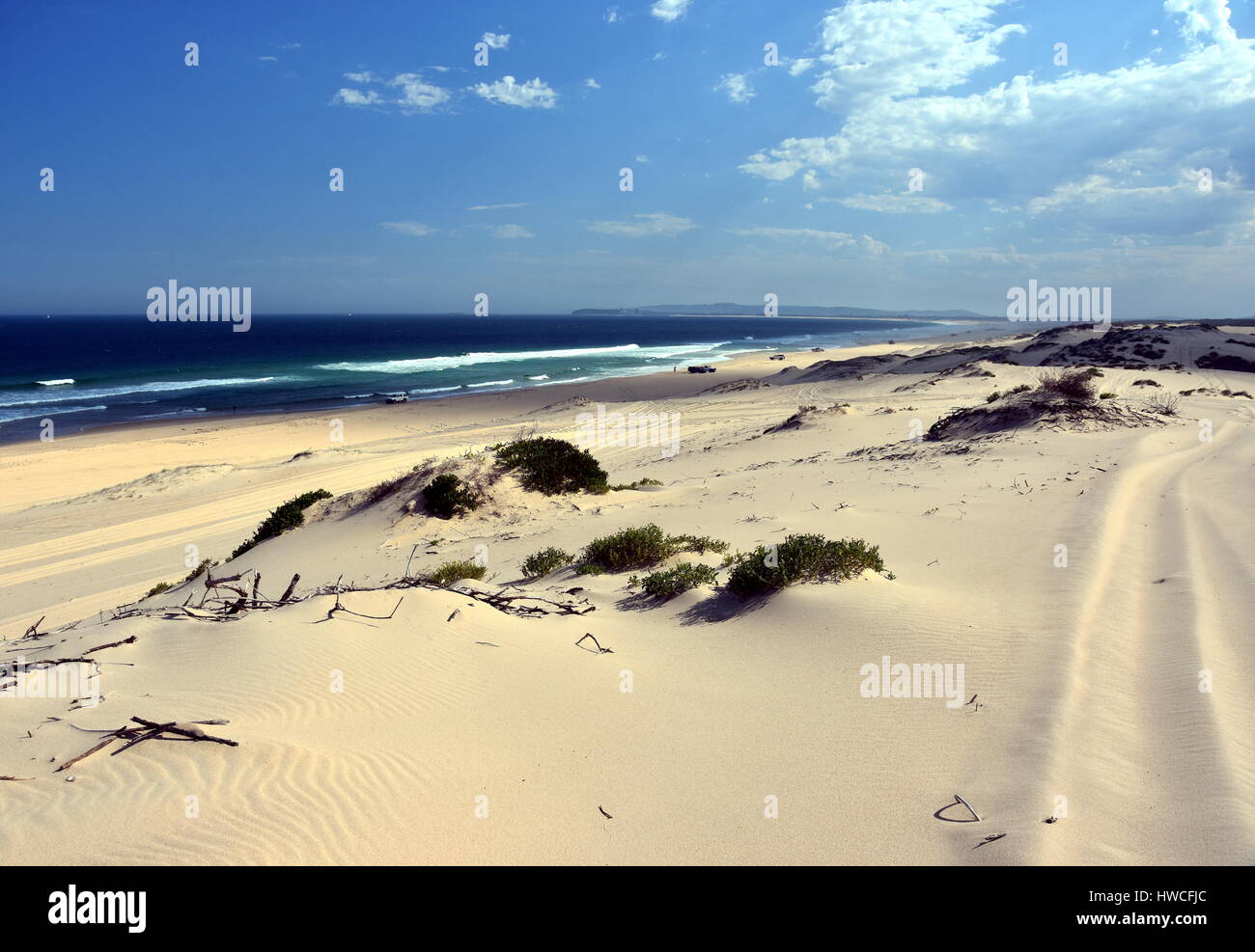 Horizontale Landschaft des Strandes mit Sanddünen und Autos (Belmont - Nine Miles - Beach, New South Wales, Australien) Stockfoto