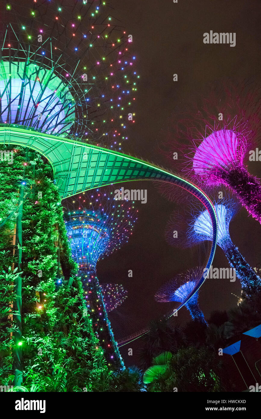 Vertikale Ansicht der OCBC Garden Rhapsody Lichtershow Supertrees in Singapur. Stockfoto