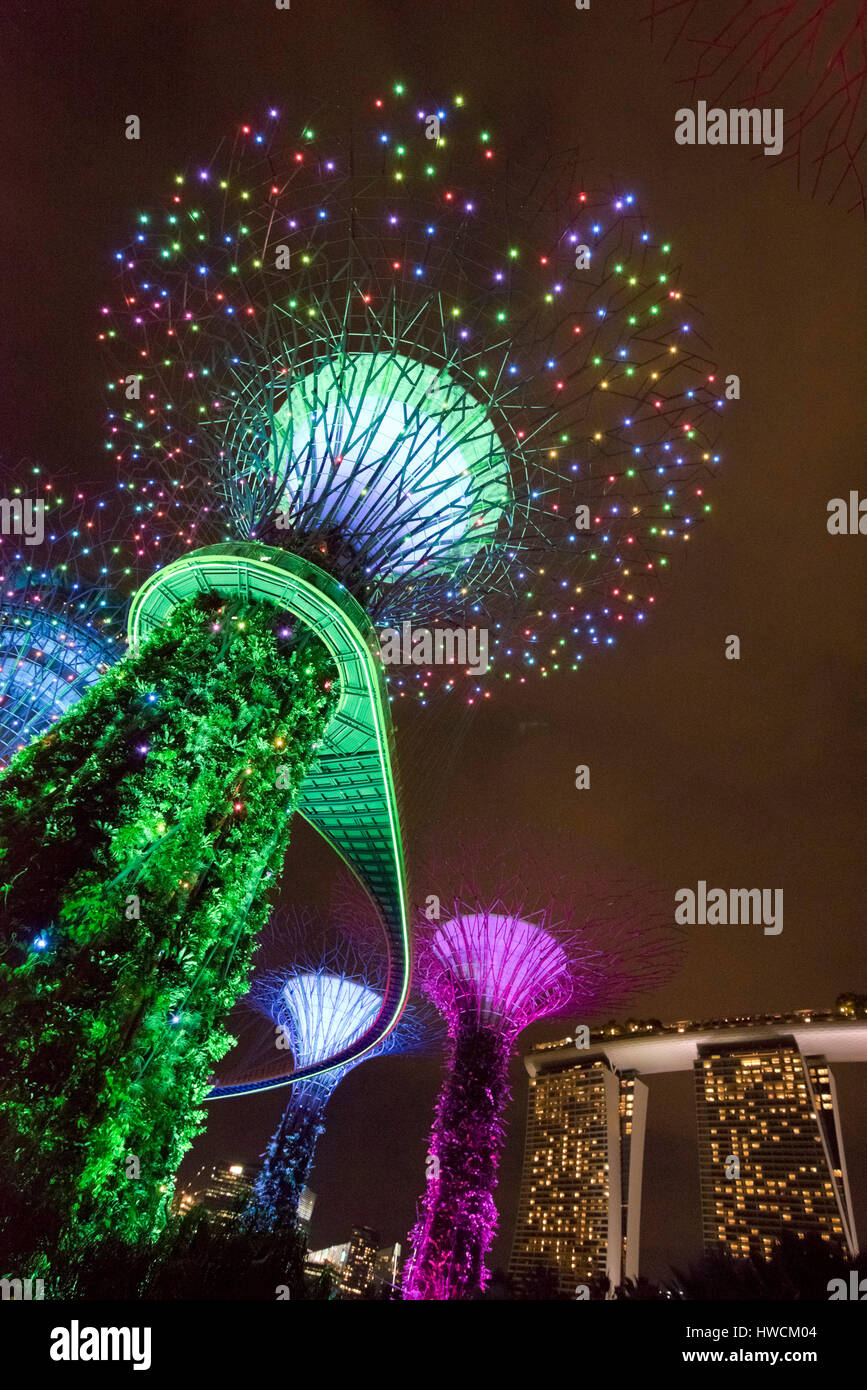 Vertikale Ansicht der OCBC Garden Rhapsody Lichtershow Supertrees in Singapur. Stockfoto