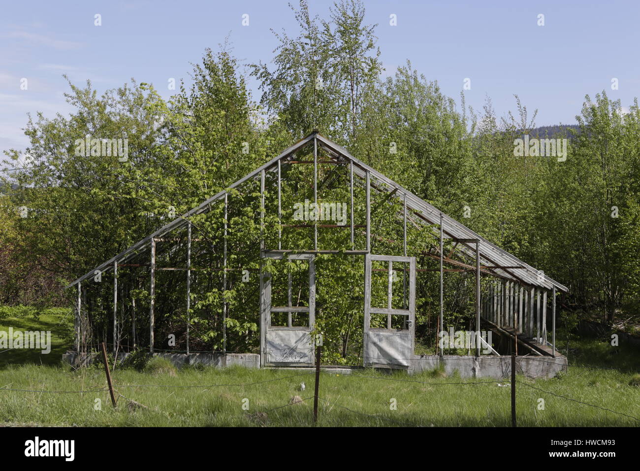 Alten, verlassenen Gewächshaus Stockfoto