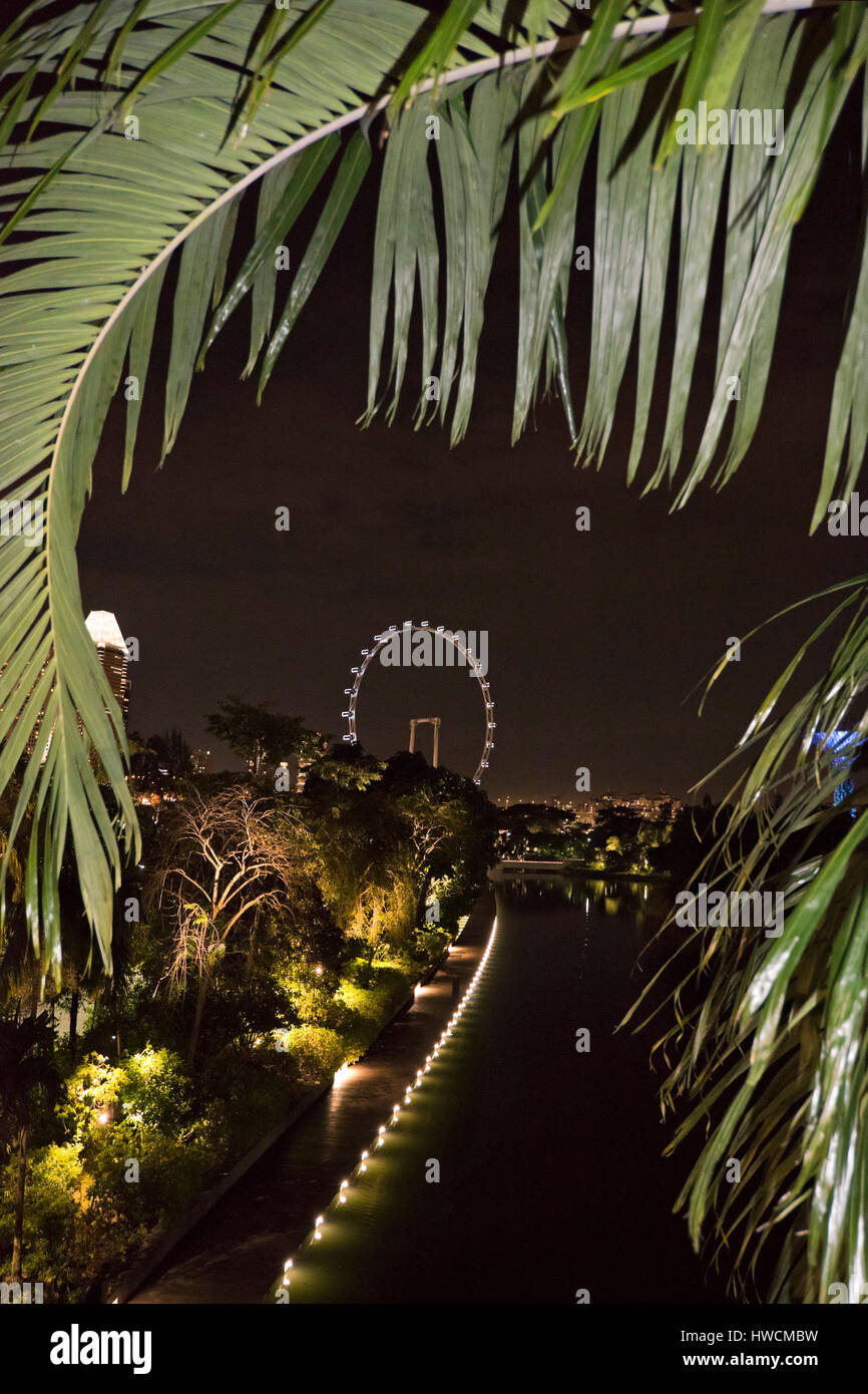 Vertikale Blick auf das Riesenrad Singapore Flyer in der Nacht. Stockfoto