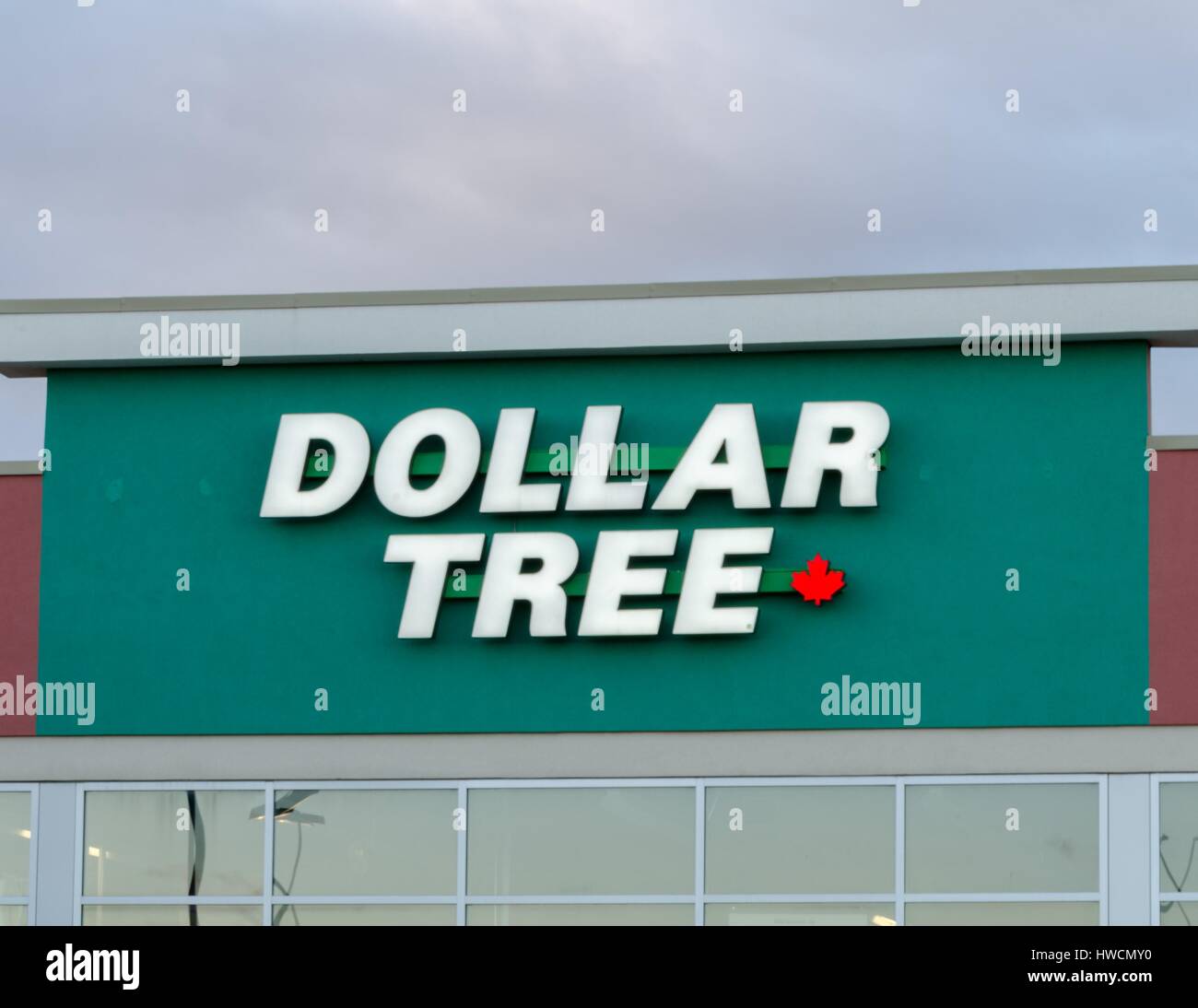 Der Dollar Tree Logo auf einem Einzelhandelsgeschäft in Calgary, Alberta, Kanada. Stockfoto