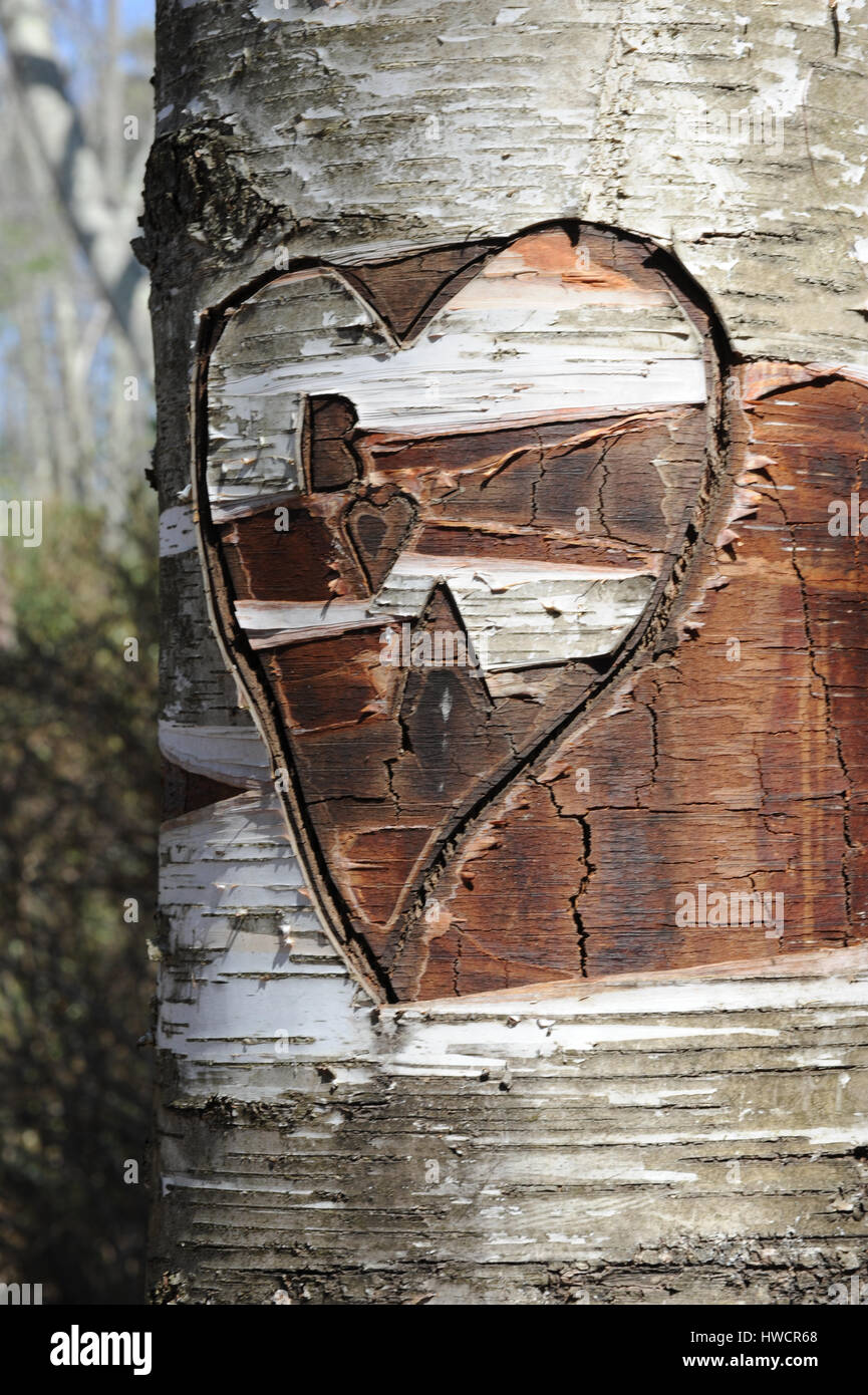 Geschnitzte Baum Stockfoto