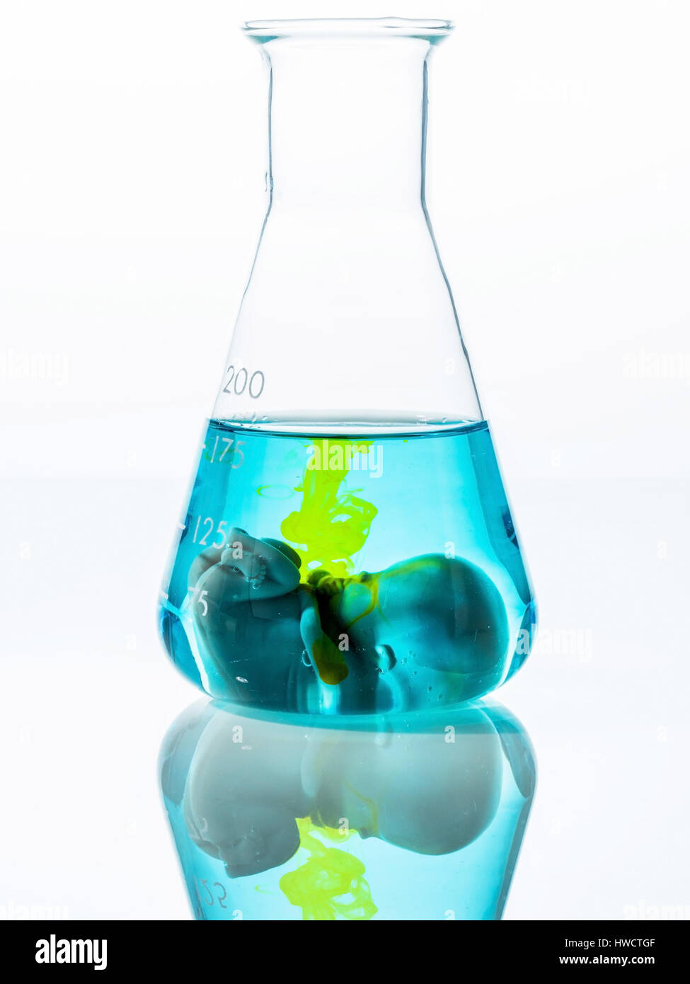 Modell eines Embryos in einem Labor-Glas. Symbolische Foto fr die  Schwangerschaft durch knstliche Empfngnis. Abtreibung und  Genmanipulation, Modell Eines Embryos in e Stockfotografie - Alamy