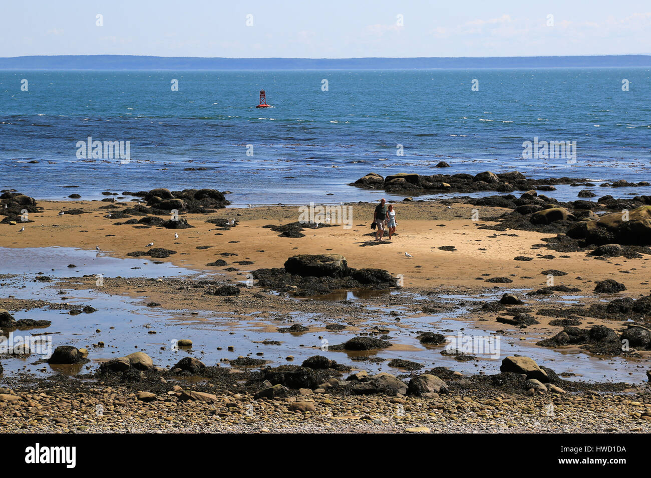 Ufer des Saint Lawrence River in Saint-Siméon, Quebec, Kanada Stockfoto