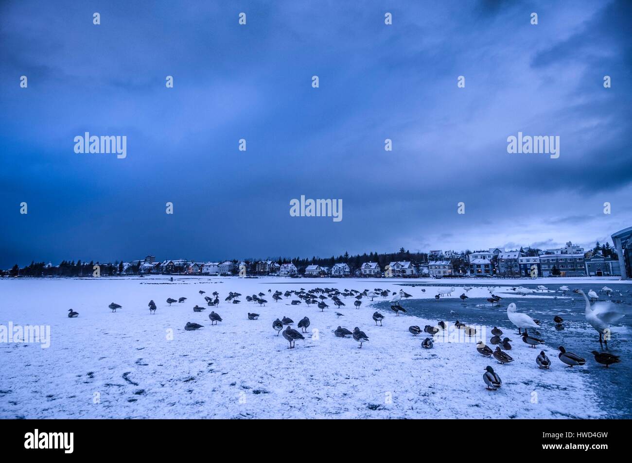 Island, Reykjavik, Blick auf den zugefrorenen See vor dem Rathaus (Rådhus Reykjavíkur) auf einem schönen arktischen Wintertag Stockfoto