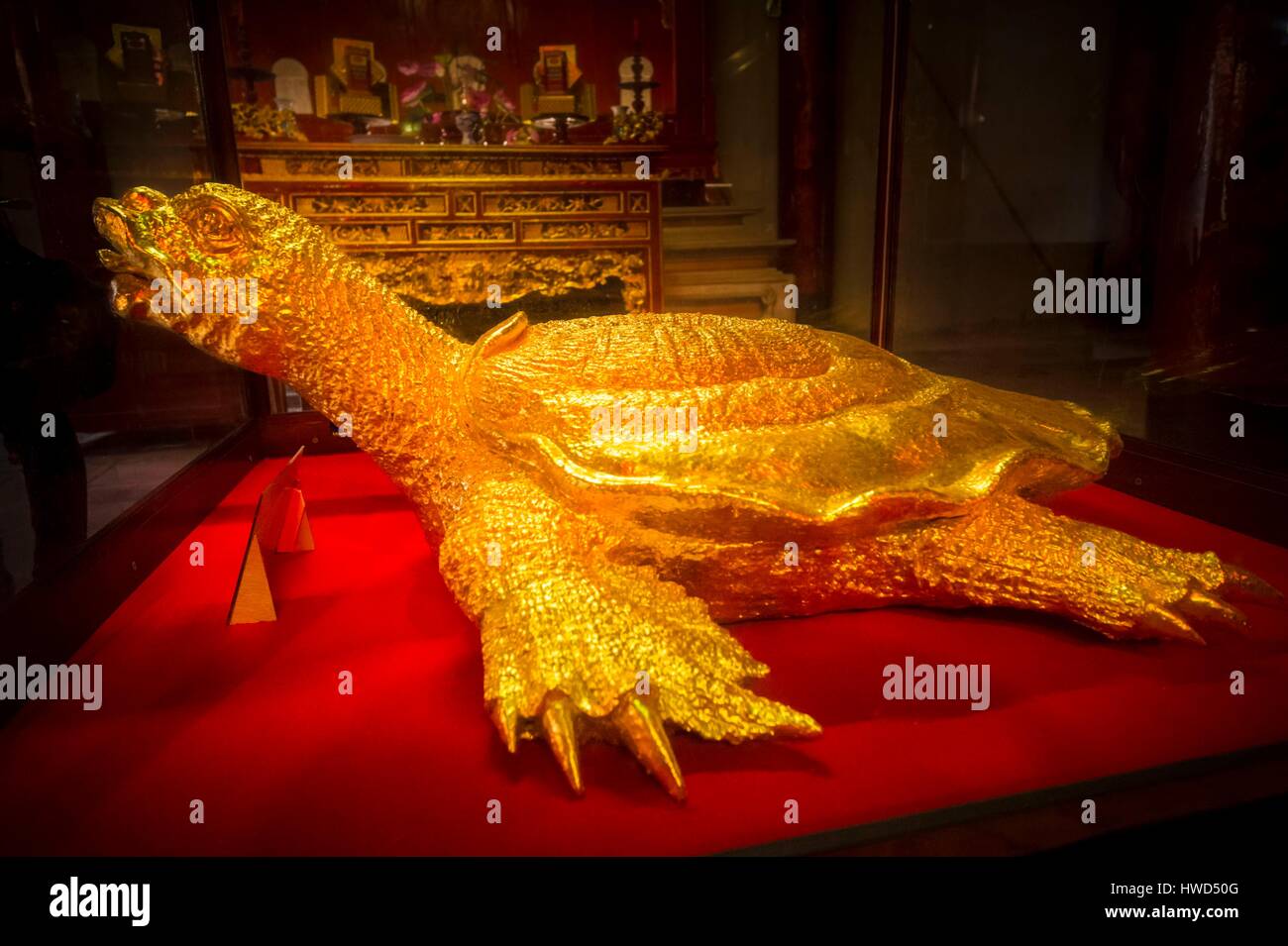 Vietnam, Red River Delta, Hanoi, Heiligtum der Prinz Verbreiter von Buchstaben (Van Vuong Tuyen Mieu) Tempel der Literatur (Van Mieu Quoc Tu Giam), golden heilige Schildkröte Stockfoto