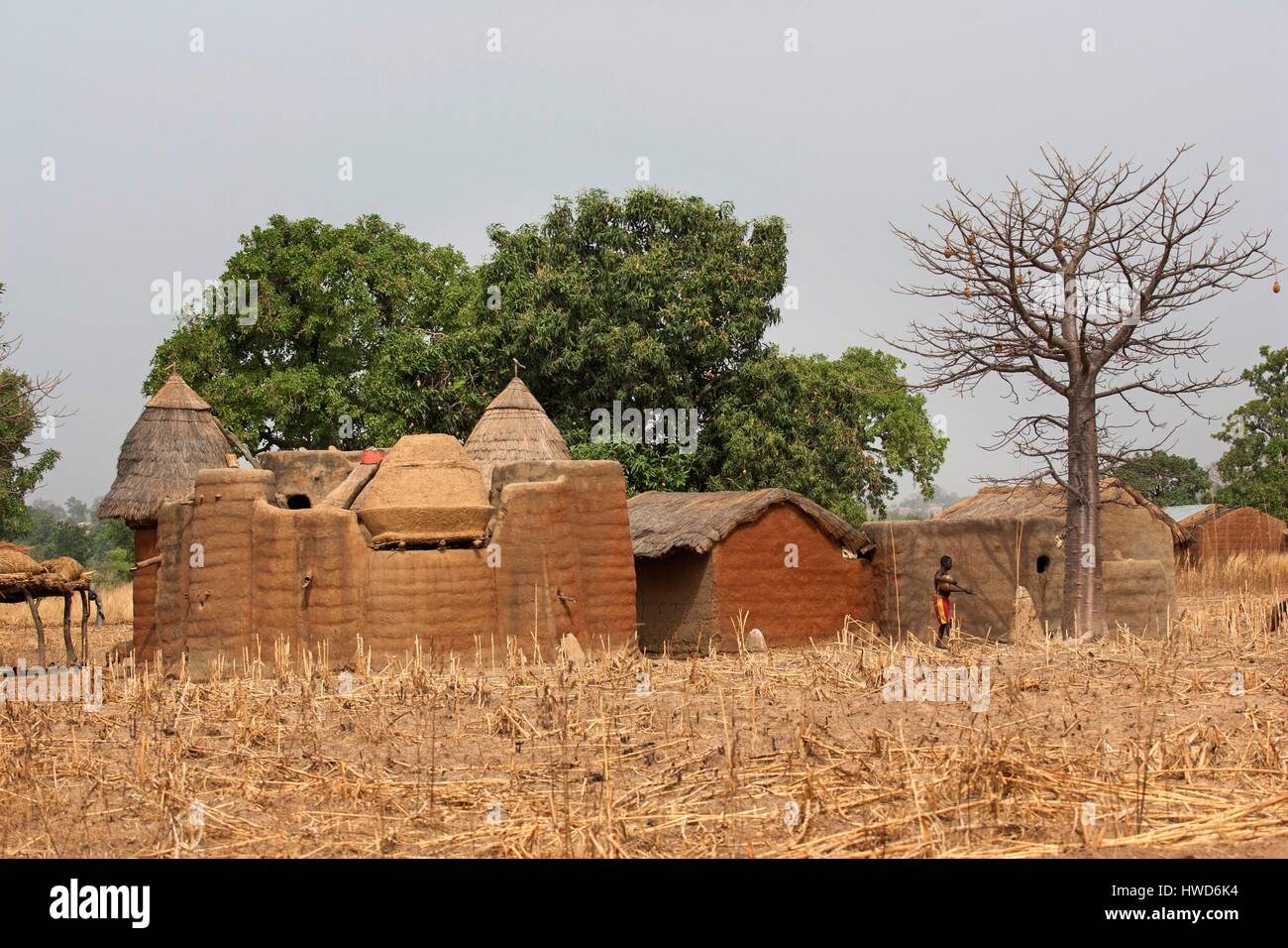 Togo, Nordregion, Ton beherbergt scheuen die Tatas als Welterbe der Menschheit aufgeführt Stockfoto