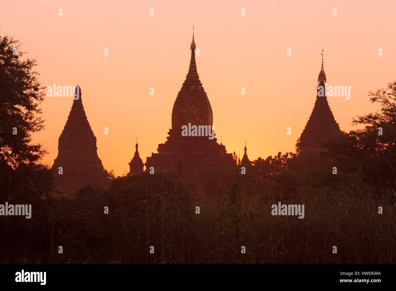 Myanmar (Burma), Mandalay District, Pagan, Pagoden und Stupas in archäologische Stätte Stockfoto