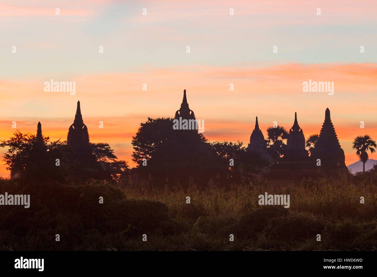 Myanmar (Burma), Mandalay District, Pagan, Pagoden und Stupas in archäologische Stätte Stockfoto