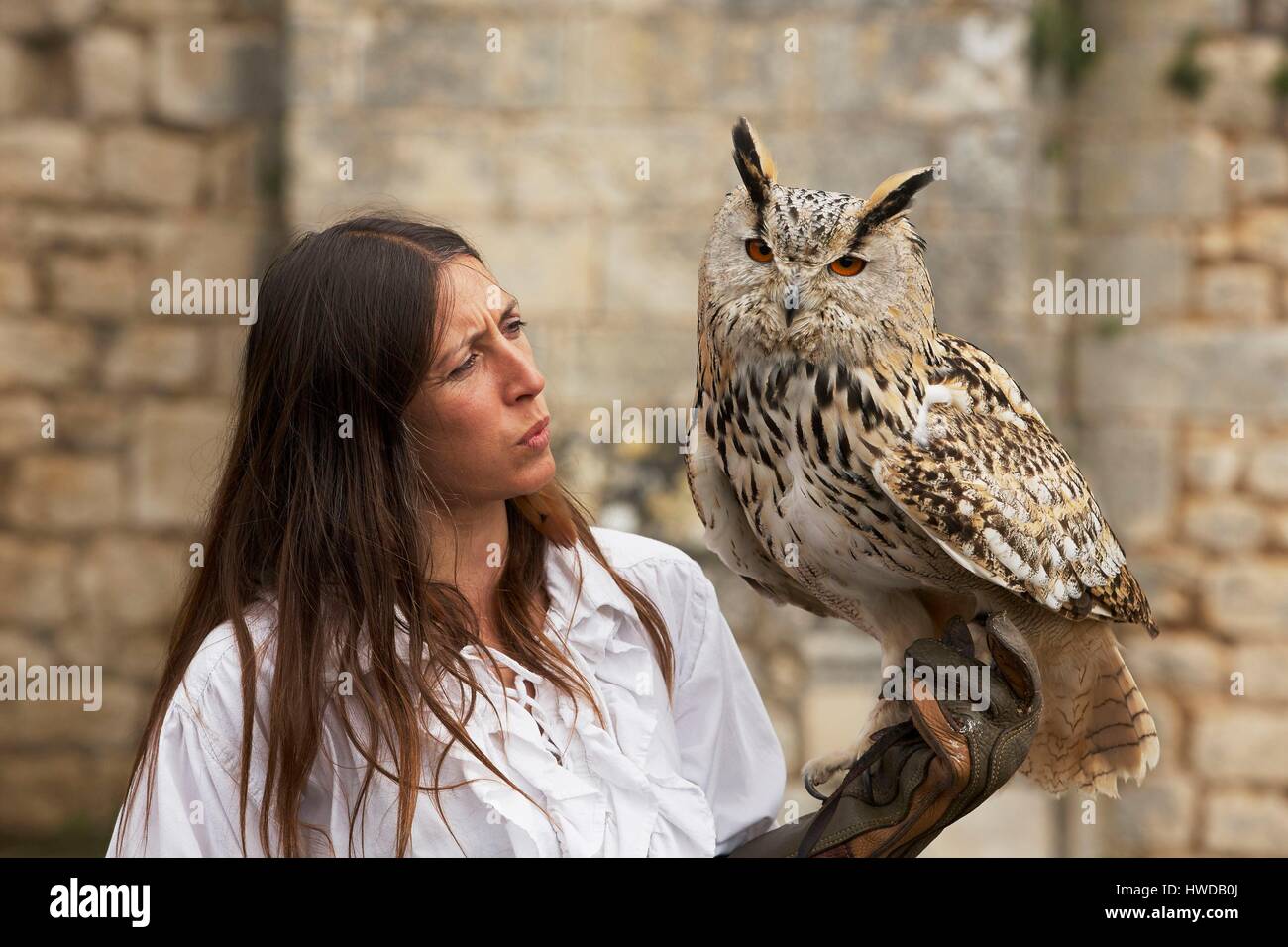 Frankreich, Vienne, Chauvigny, Falknerei zeigen Les Geants du Ciel in die Ruinen der Ritterburg, alte Burg der Bischöfe von Poitiers, Eurasischen Eagle-Owl (Bubo bubo sibericus) Stockfoto