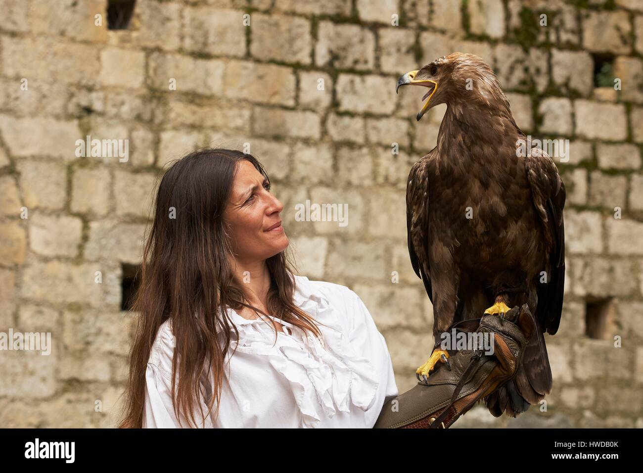 Frankreich, Vienne, Chauvigny, Falknerei zeigen Les Geants du Ciel in die Ruinen der Ritterburg, alte Burg der Bischöfe von Poitiers, der Steinadler (Aquila Chrysaetos) Stockfoto