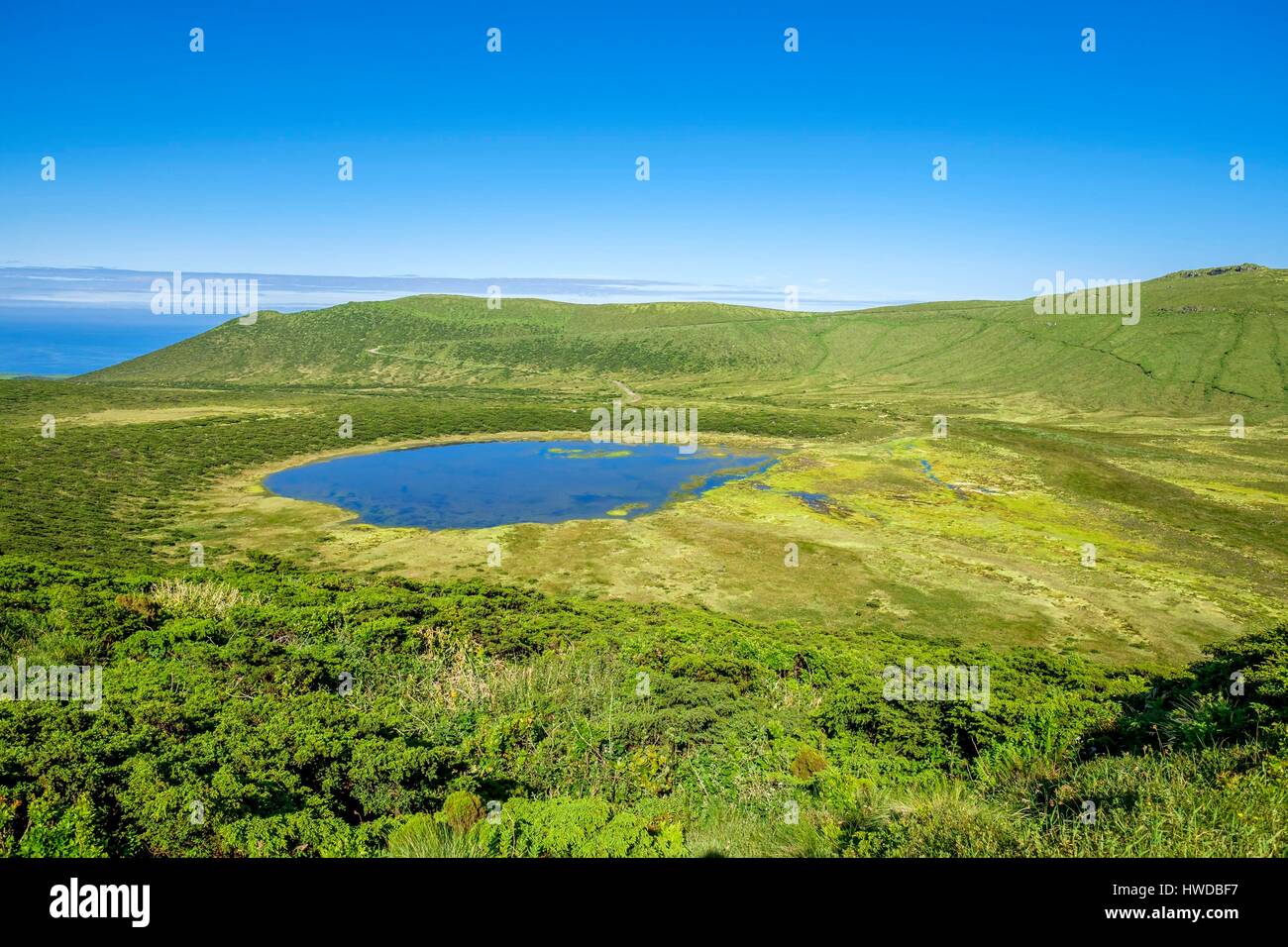 Portugal, Azoren, Insel Flores, Morro Alto und Pico Do Sé natürlichen Waldreservat, Lagoa Branca Stockfoto