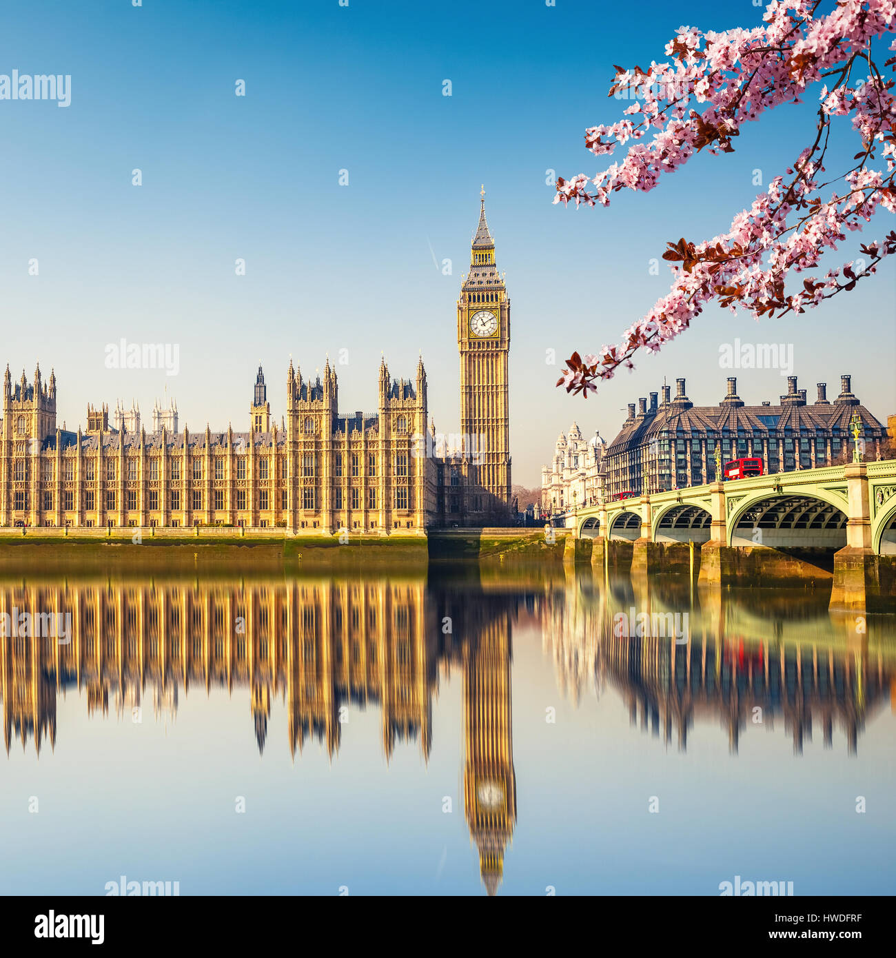 Big Ben in London Stockfoto