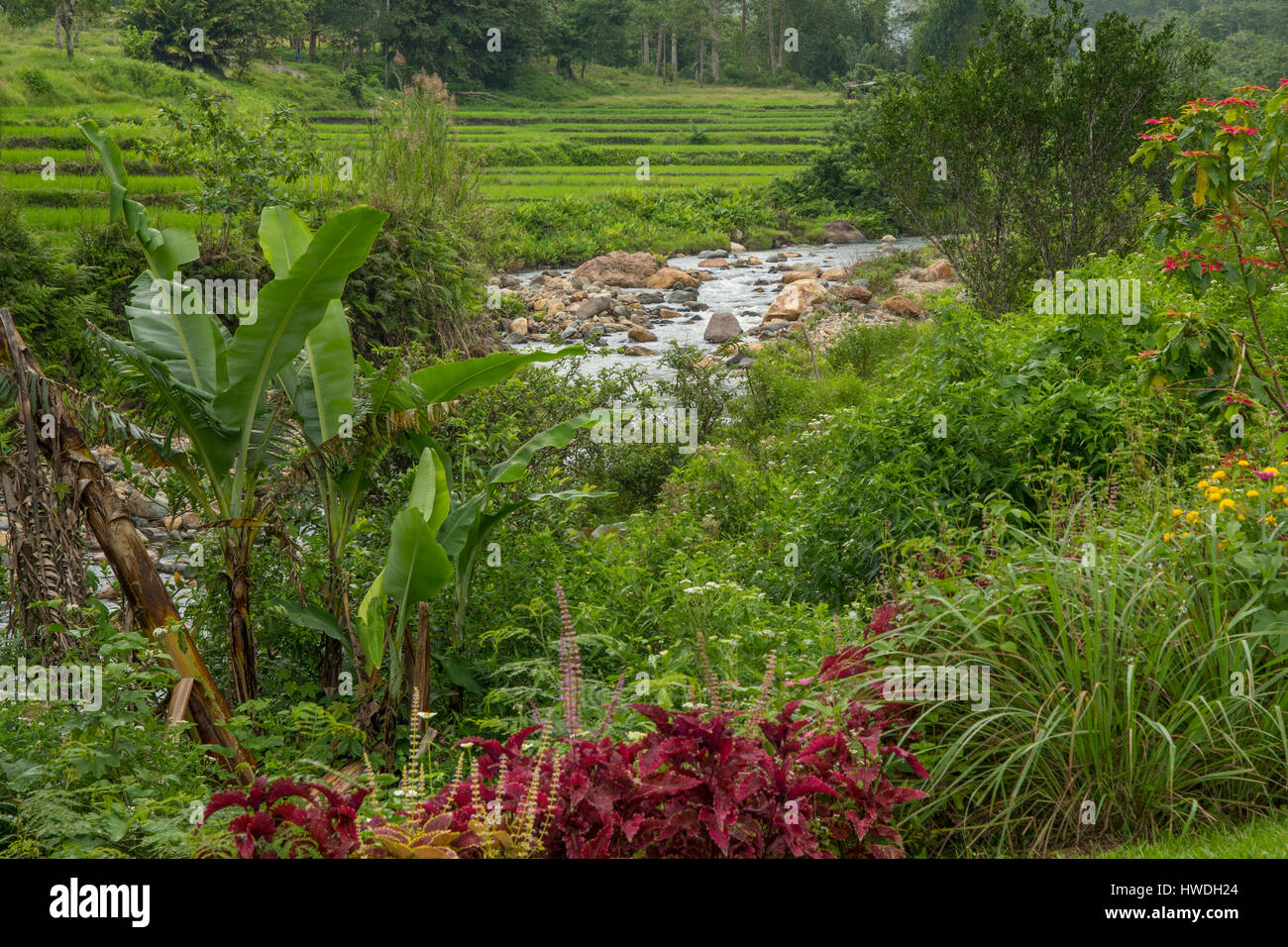 Ansicht von Kelimutu Eco Lodge, Flores, Indonesien Stockfoto