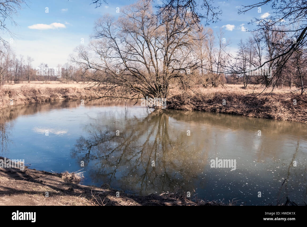 Odra River mit Bäumen und Sky reflcted auf dem Wasser Boden im frühen Frühjahr Landschaftsschutzgebietes poodri in der Nähe von studenka in der Tschechischen Republik Stockfoto