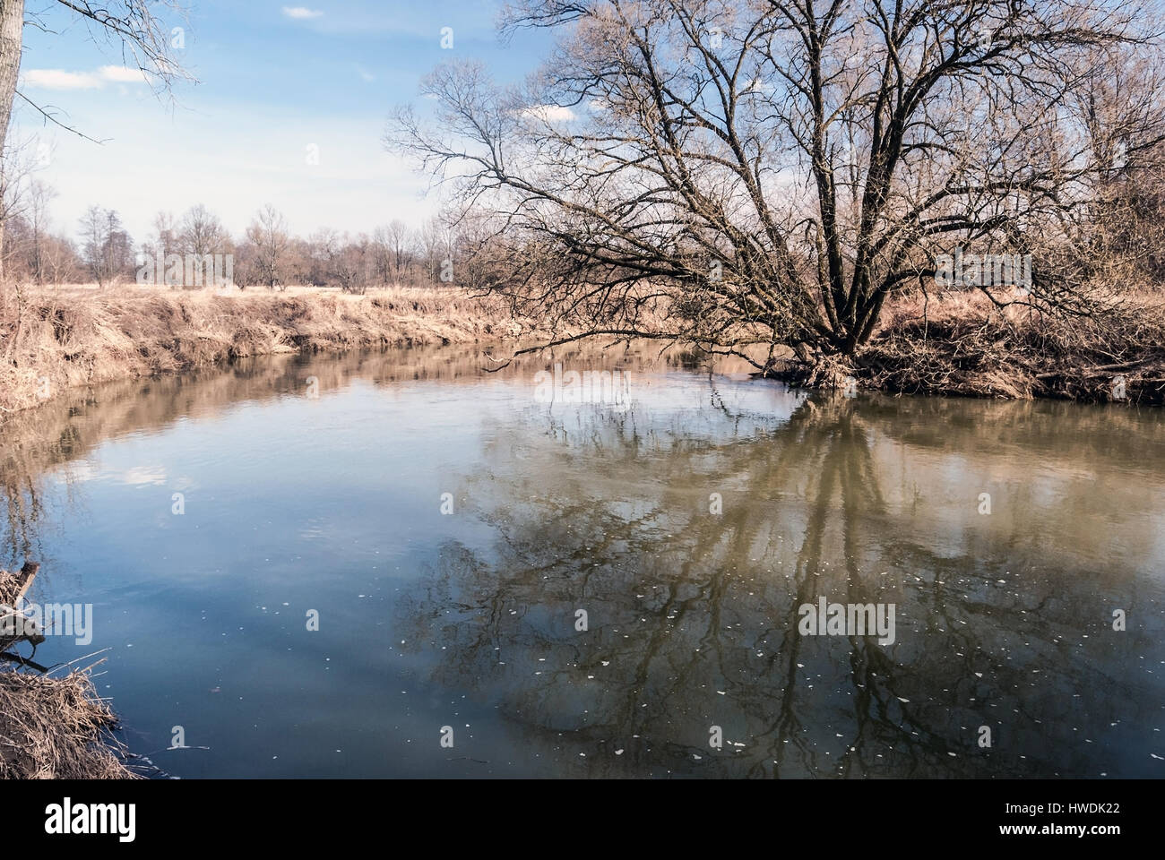 Odra River mit Baum und der Himmel spiegelt sich auf das Wasser aus dem Boden mit Wiese auf dem Hintergrund im frühen Frühjahr Landschaftsschutzgebietes poodri in der Nähe von studenka in der Tschechischen Republik Stockfoto