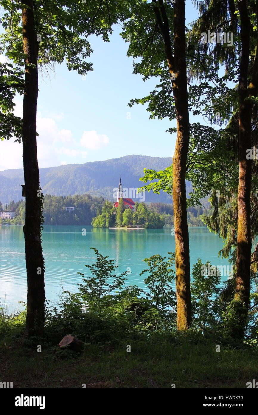 Annahme von Mary Wallfahrtskirche auf der Insel am Bleder See, Slowenien Stockfoto