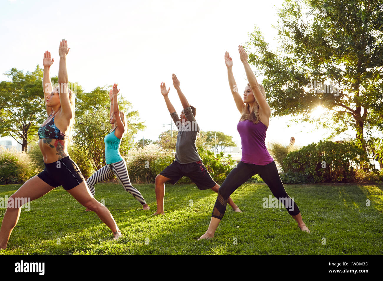 Männliche und weibliche Erwachsene praktizieren Yoga im Park, im Krieger 2-pose Stockfoto