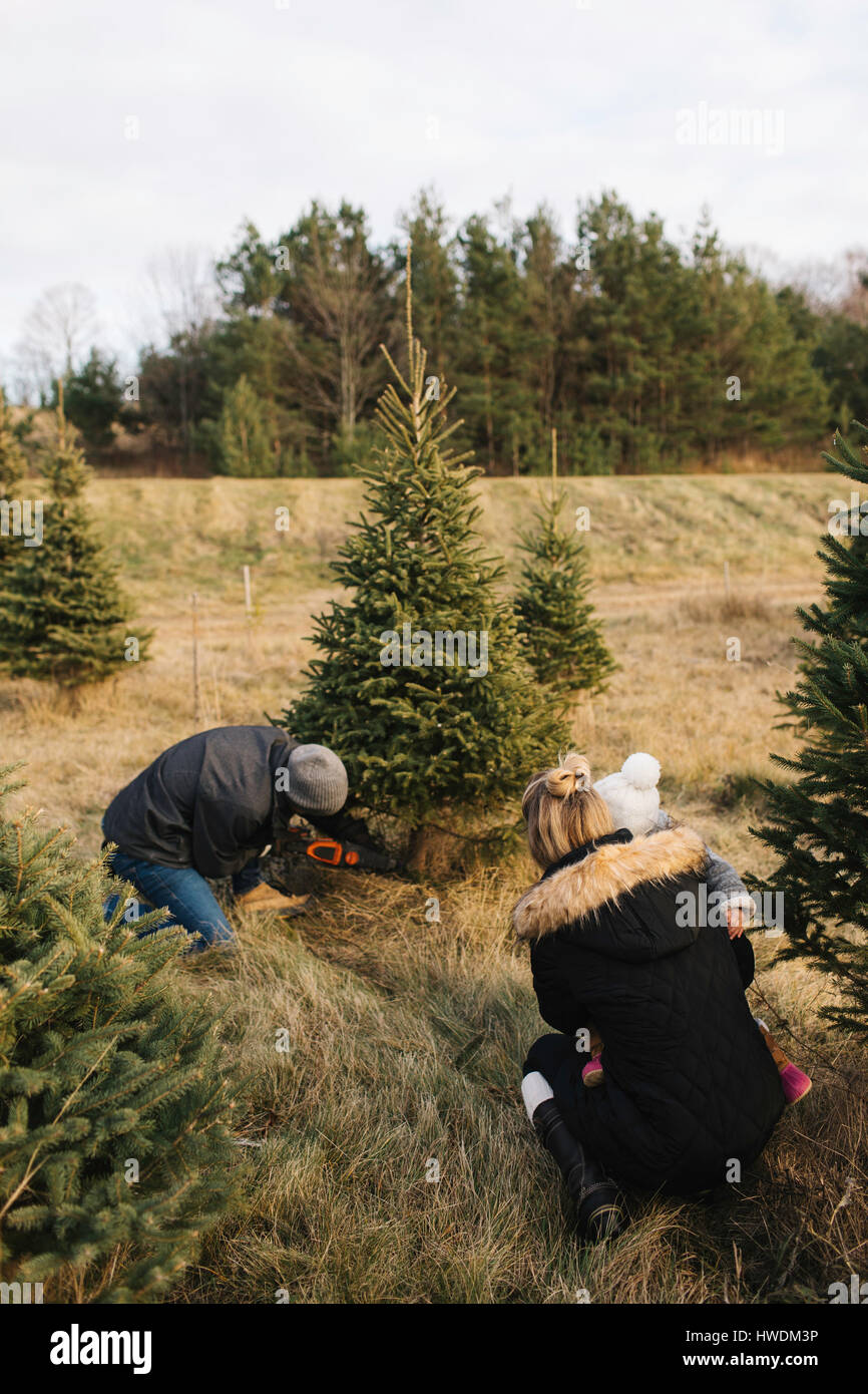 Mutter und Baby gerade Mann Baum in Christmas Tree Farm, Cobourg, Ontario, Kanada Stockfoto