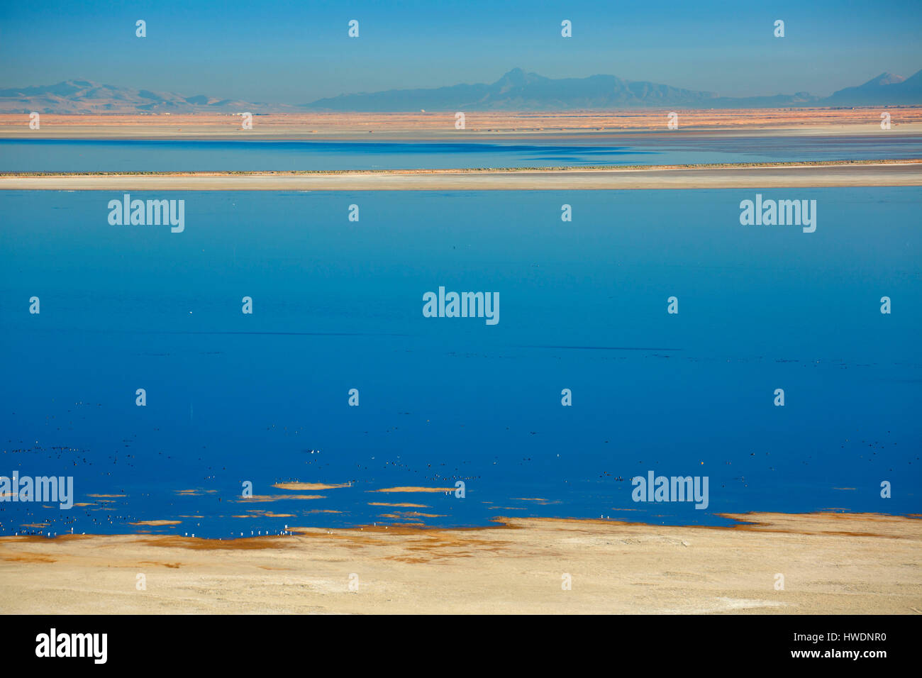 Great Salt Lake, Antelope Island State Park, Utah Stockfoto