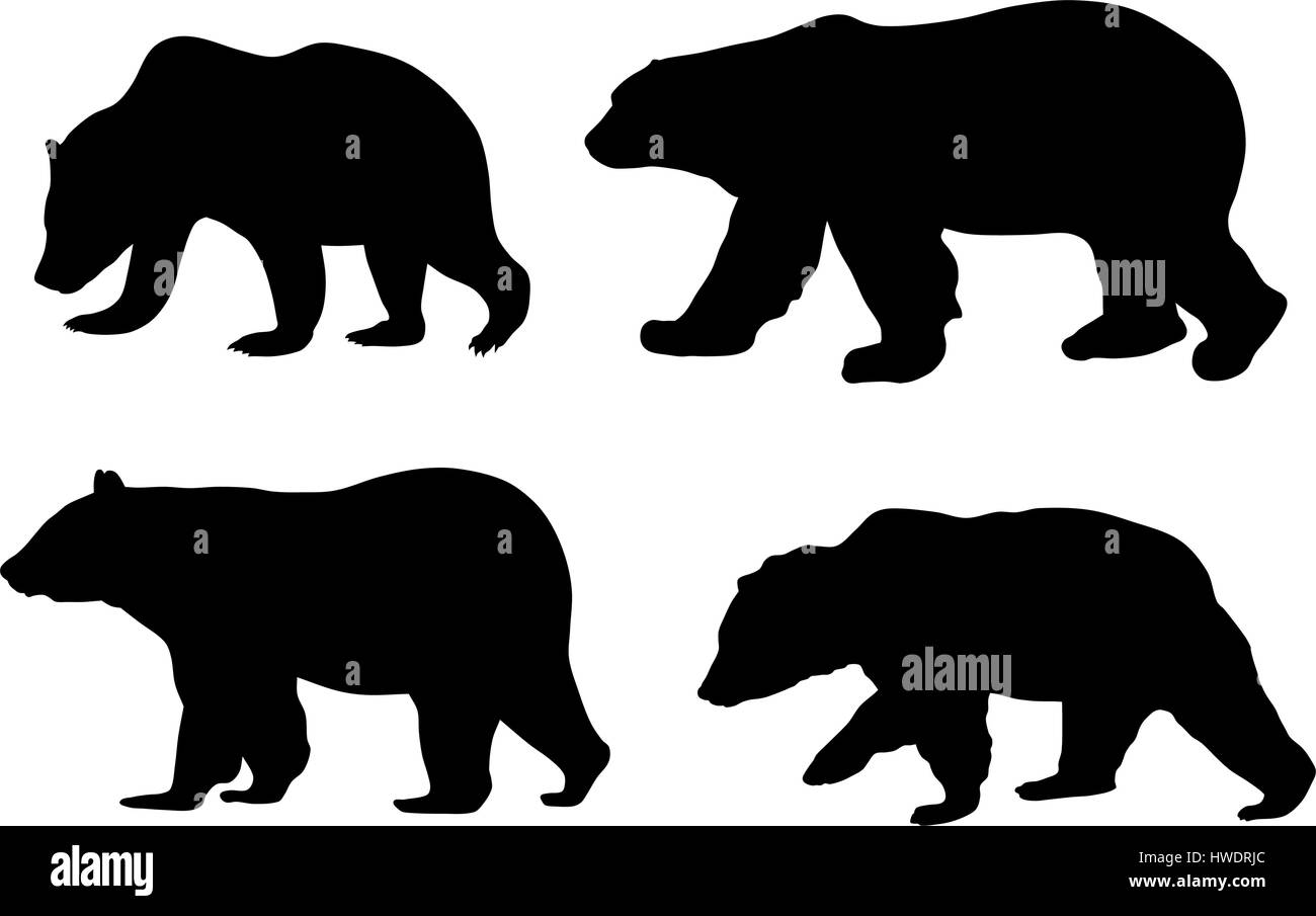 Abstraktes Vektor-Illustration der verschiedenen Bären Stock Vektor