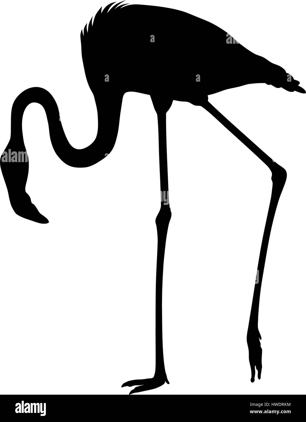 Abstraktes Vektor-Illustration einer Flamingo silhouette Stock Vektor