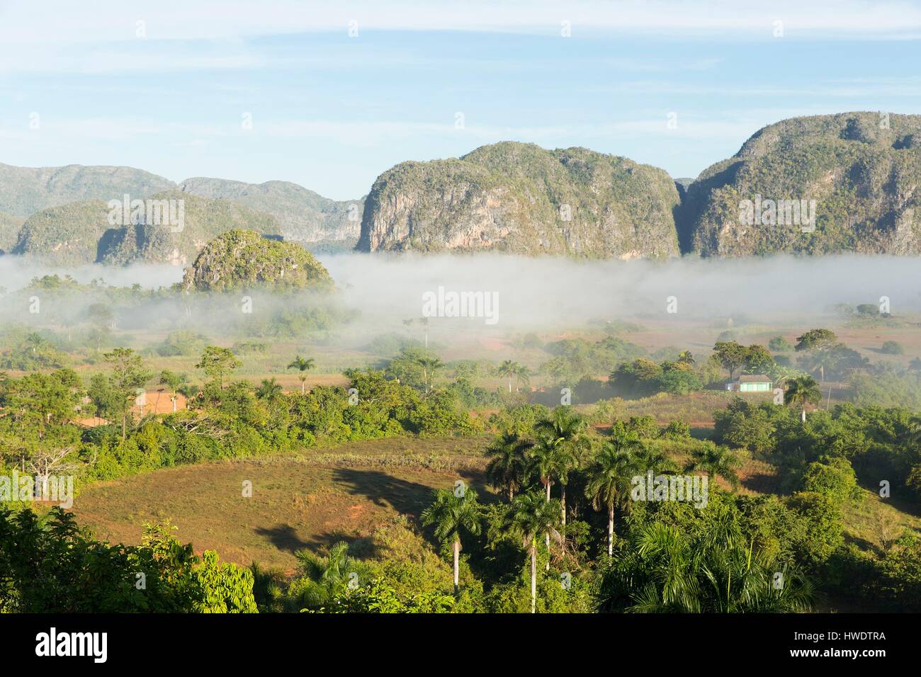 Kuba, Provinz Pinar del Rio, Vinales, Vinales National Parc, Tal von Vinales als Weltkulturerbe von der UNESCO, allgemeine Sicht auf das Tal und die Mogotes Teil der Guaniguanico Gebirgskette im Morgennebel Stockfoto