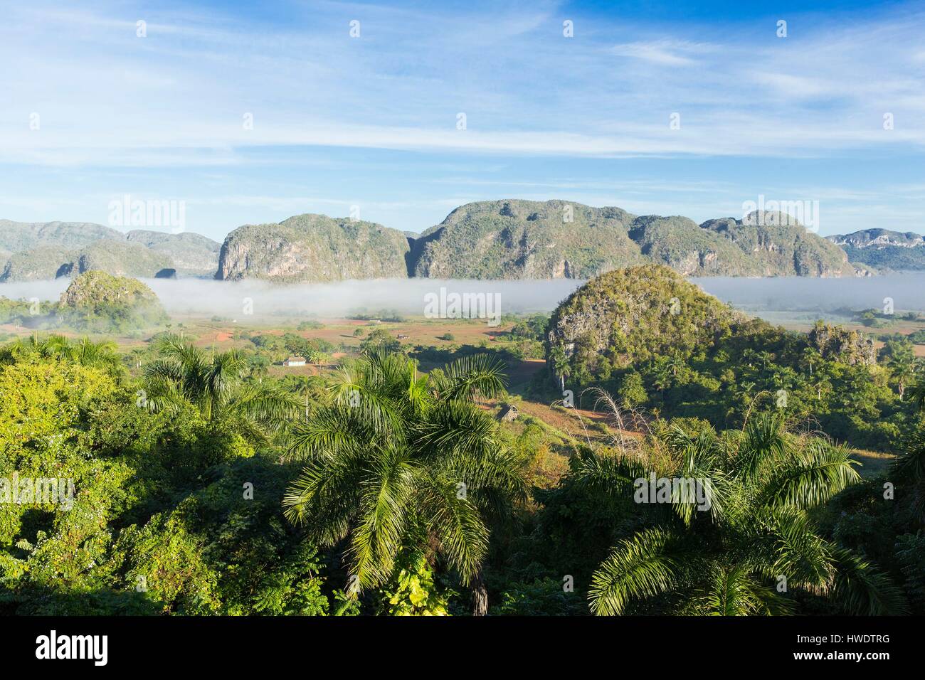 Kuba, Provinz Pinar del Rio, Vinales, Vinales National Parc, Tal von Vinales als Weltkulturerbe von der UNESCO, allgemeine Sicht auf das Tal und die Mogotes Teil der Guaniguanico Gebirgskette im Morgennebel Stockfoto