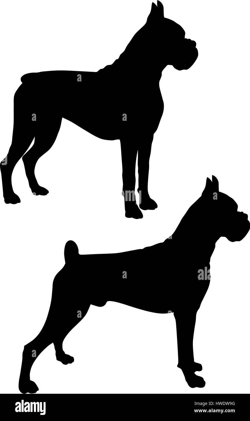 Abstraktes Vektor-Illustration der Hund silhouette Stock Vektor
