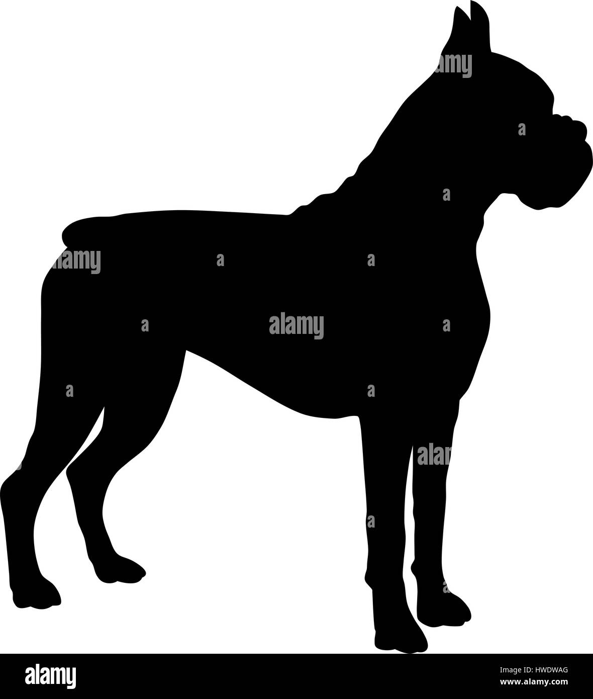 Abstraktes Vektor-Illustration der Hund silhouette Stock Vektor