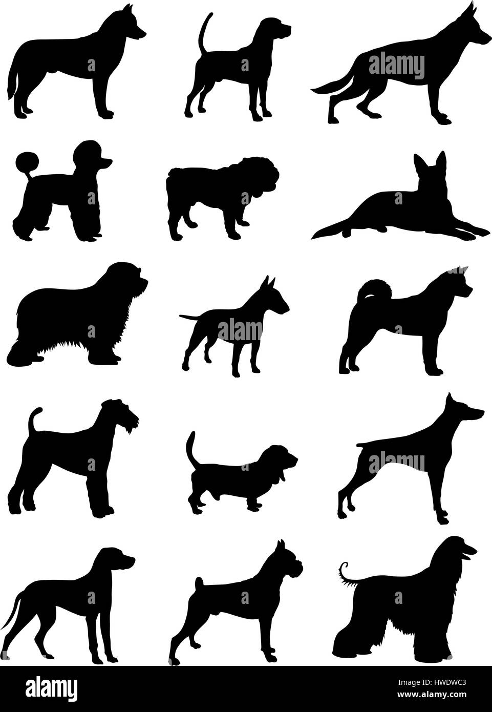 Vektor-Illustration von verschiedenen Hund Rasse Silhouetten Stock Vektor