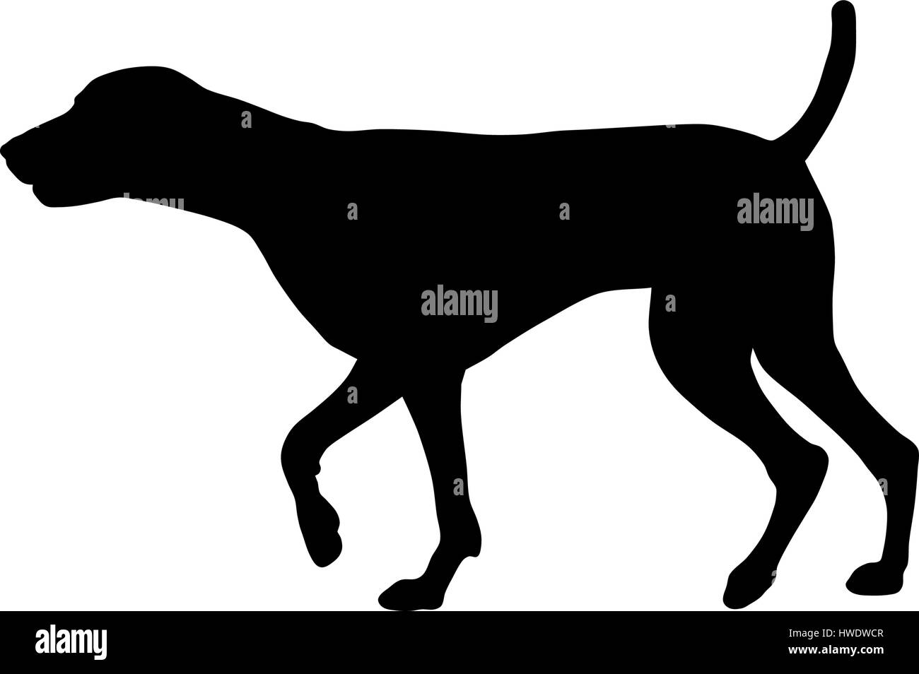 Vektor-Illustration der deutsche kurze Haare Zeiger silhouette Stock Vektor