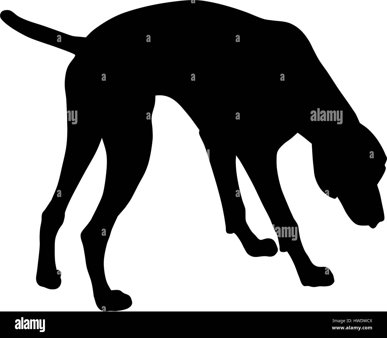 Vektor-Illustration der deutsche kurze Haare Zeiger silhouette Stock Vektor