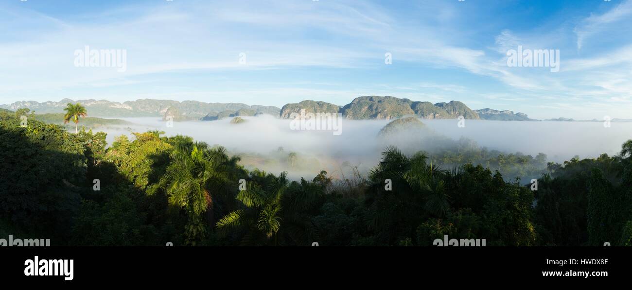 Kuba, Provinz Pinar del Rio, Vinales Tal als Weltkulturerbe von der UNESCO, Vinales National Parc, Tabak Felder im Morgennebel und Mogotes des Guaniguanico Bergkette Stockfoto