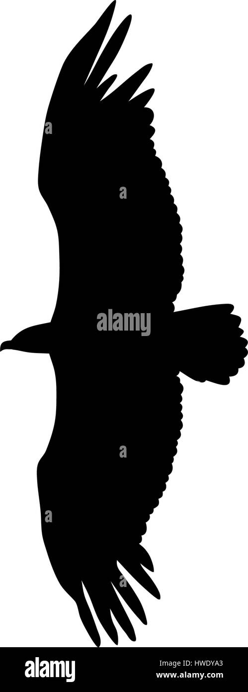 Vektor-Illustration der fliegenden Adler silhouette Stock Vektor