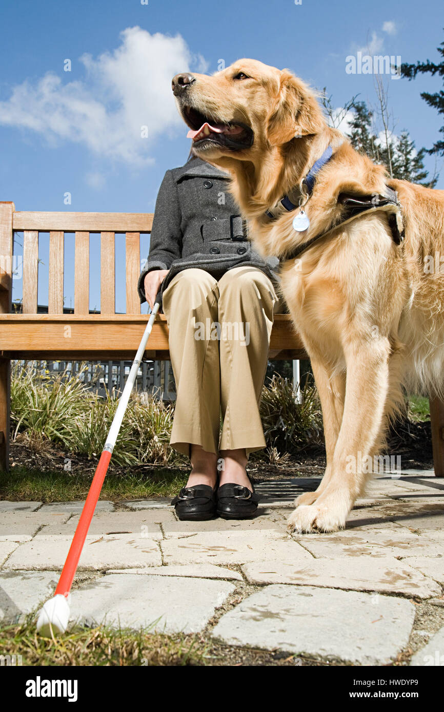 Blinde Frau und einen Blindenhund Stockfoto