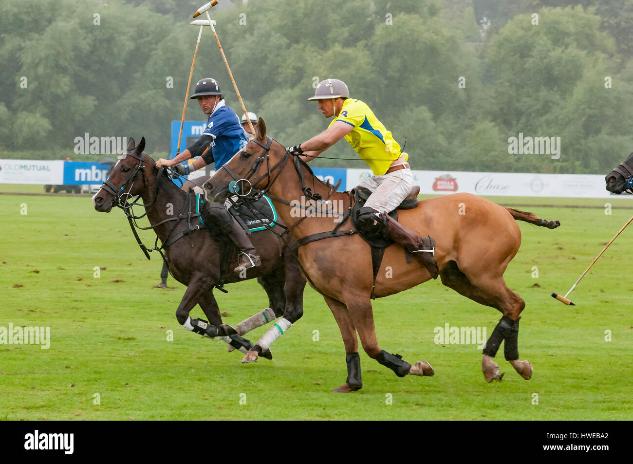 MBNA Roodee Polo letzte Chester Racecourse. 3. September 2016. Gewinner Laurent Perrier. Stockfoto