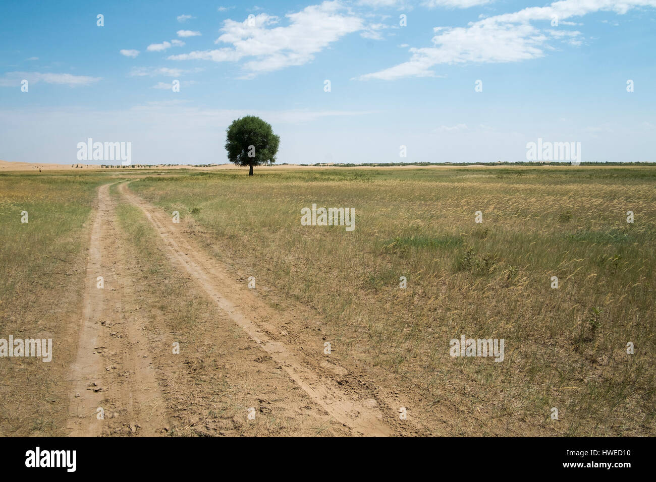 Sanddünen in eine Wüste, Kubuqi, Ordos, Innere Mongolei, CHINA Stockfoto