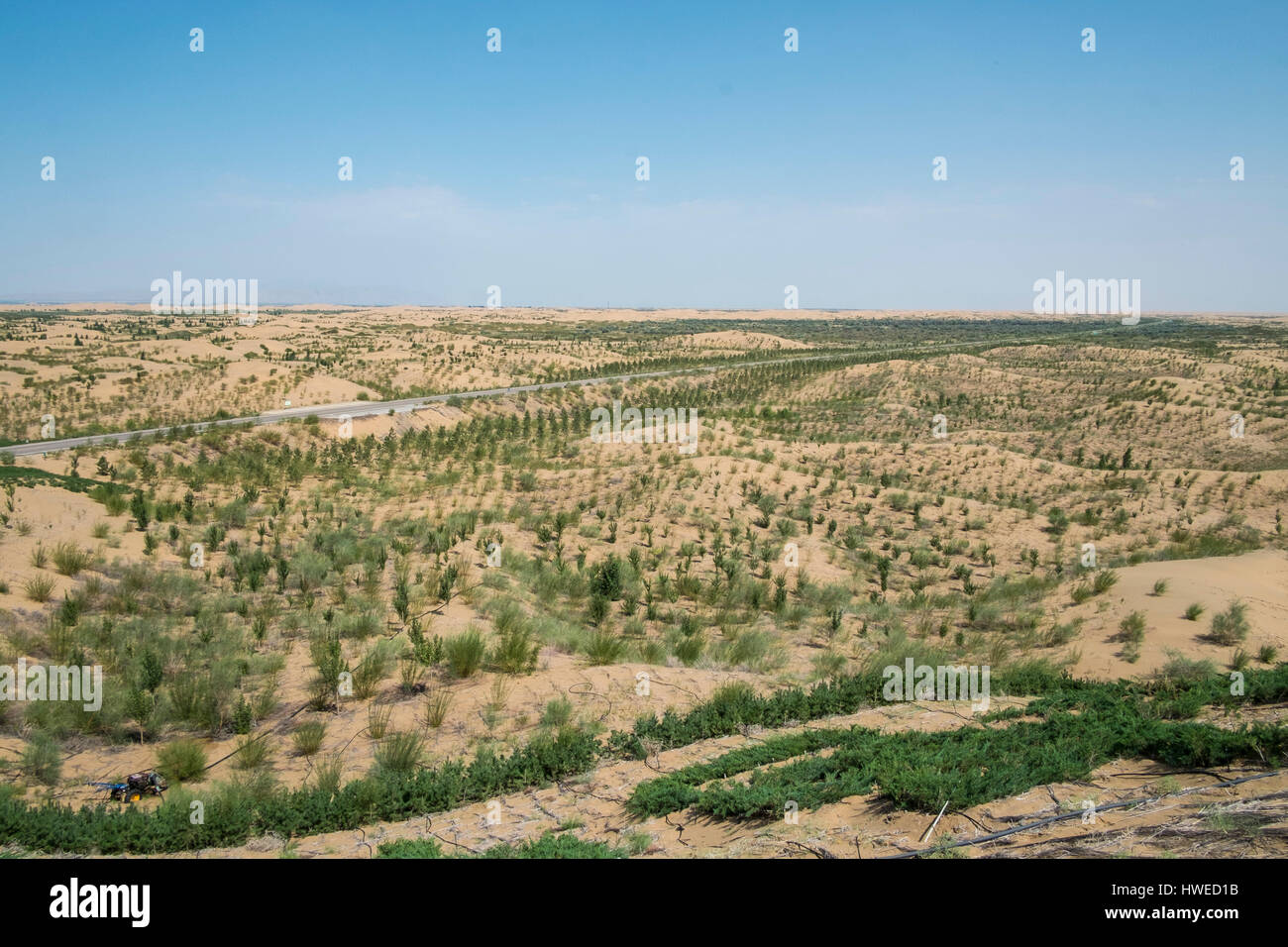 Sanddünen in eine Wüste, Kubuqi, Ordos, Innere Mongolei, CHINA Stockfoto