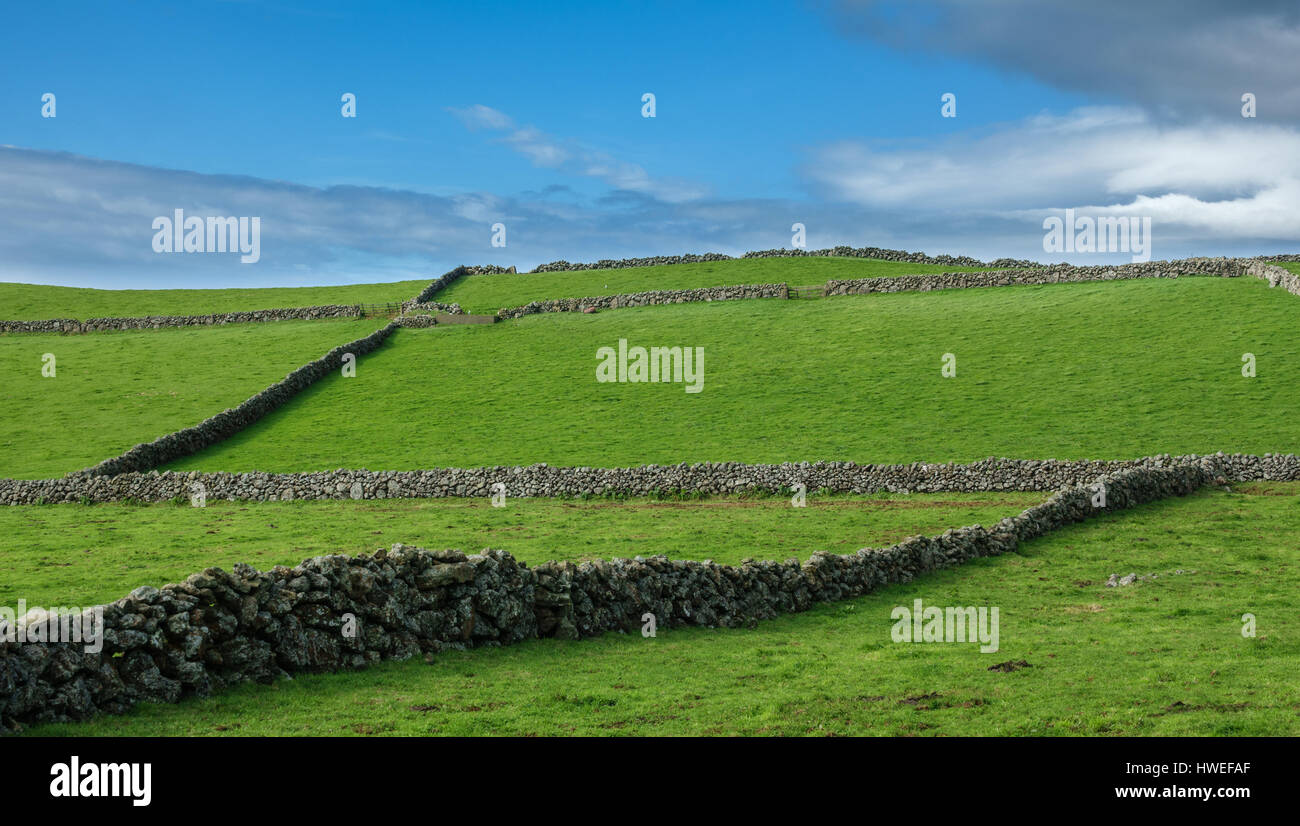 Bauernhof Felder Hügel auf der Insel Terceira, Azoren Stockfoto