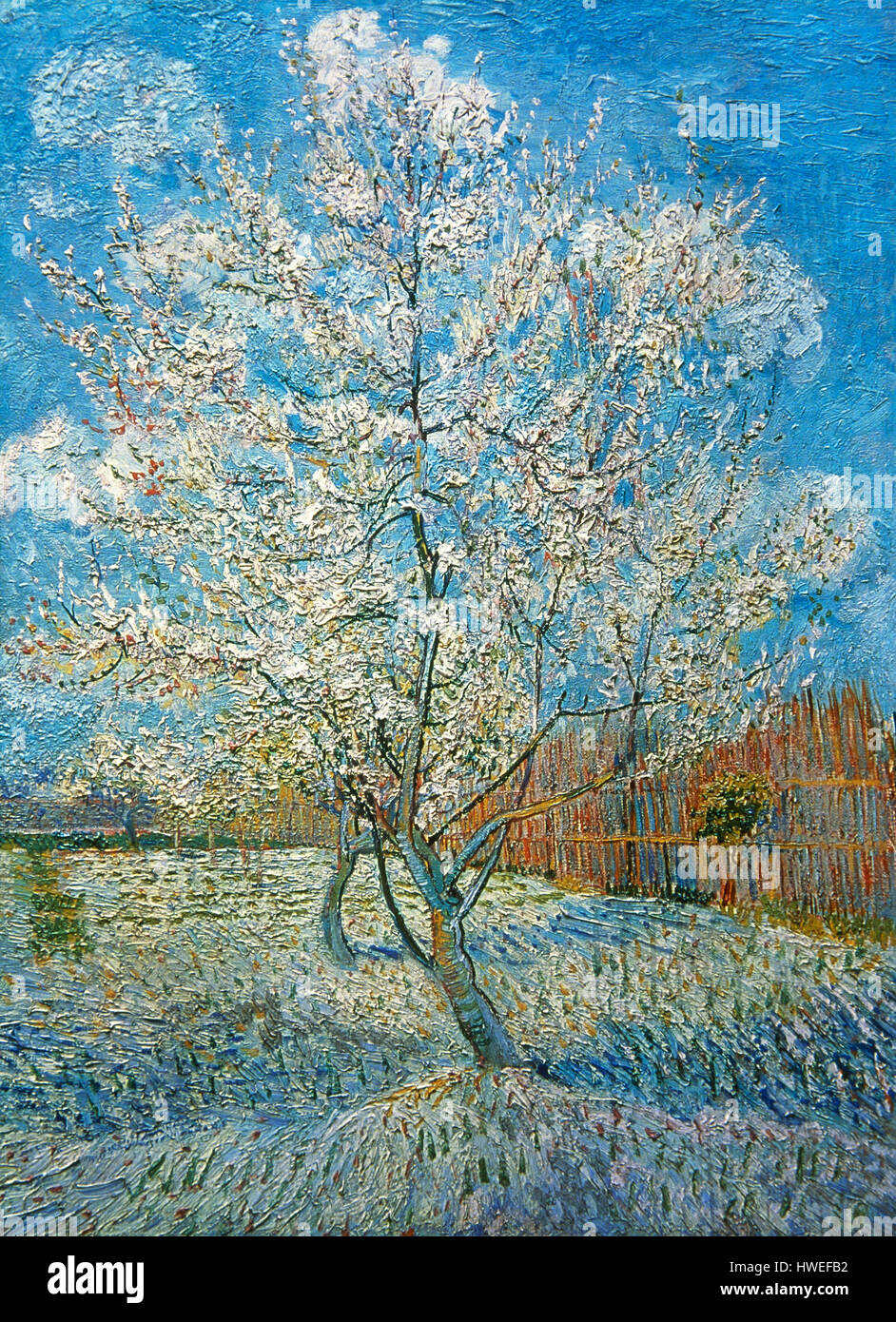 Vincent Van Gogh (1853-1890). Niederländische Post-Impressionisten Maler. Pfirsichbaum, 1888. Vincent Van Gogh Museum. Amsterdam. Holland. Stockfoto