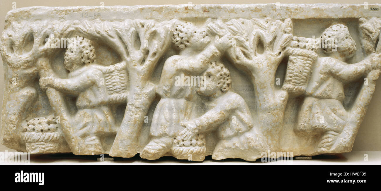 Römer, Olivenernte. Relief. 3. und 4. Jahrhundert. Archäologisches Museum von Cordoba. Andalusien. Spanien. Stockfoto