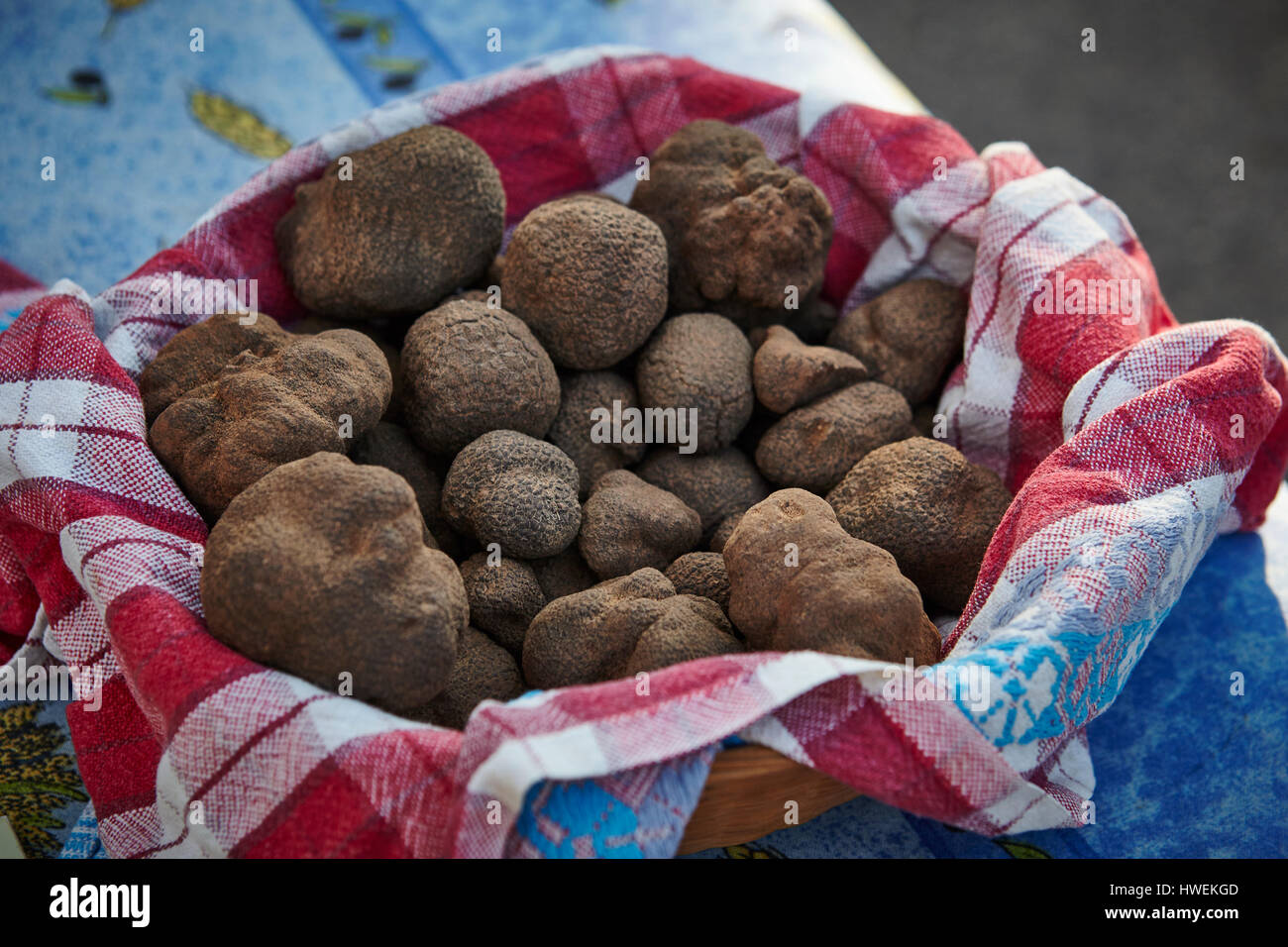 Schüssel mit frischem Trüffel Pilze am Marktstand, Aups, Alpes-de-Haute-Provence, Frankreich Stockfoto