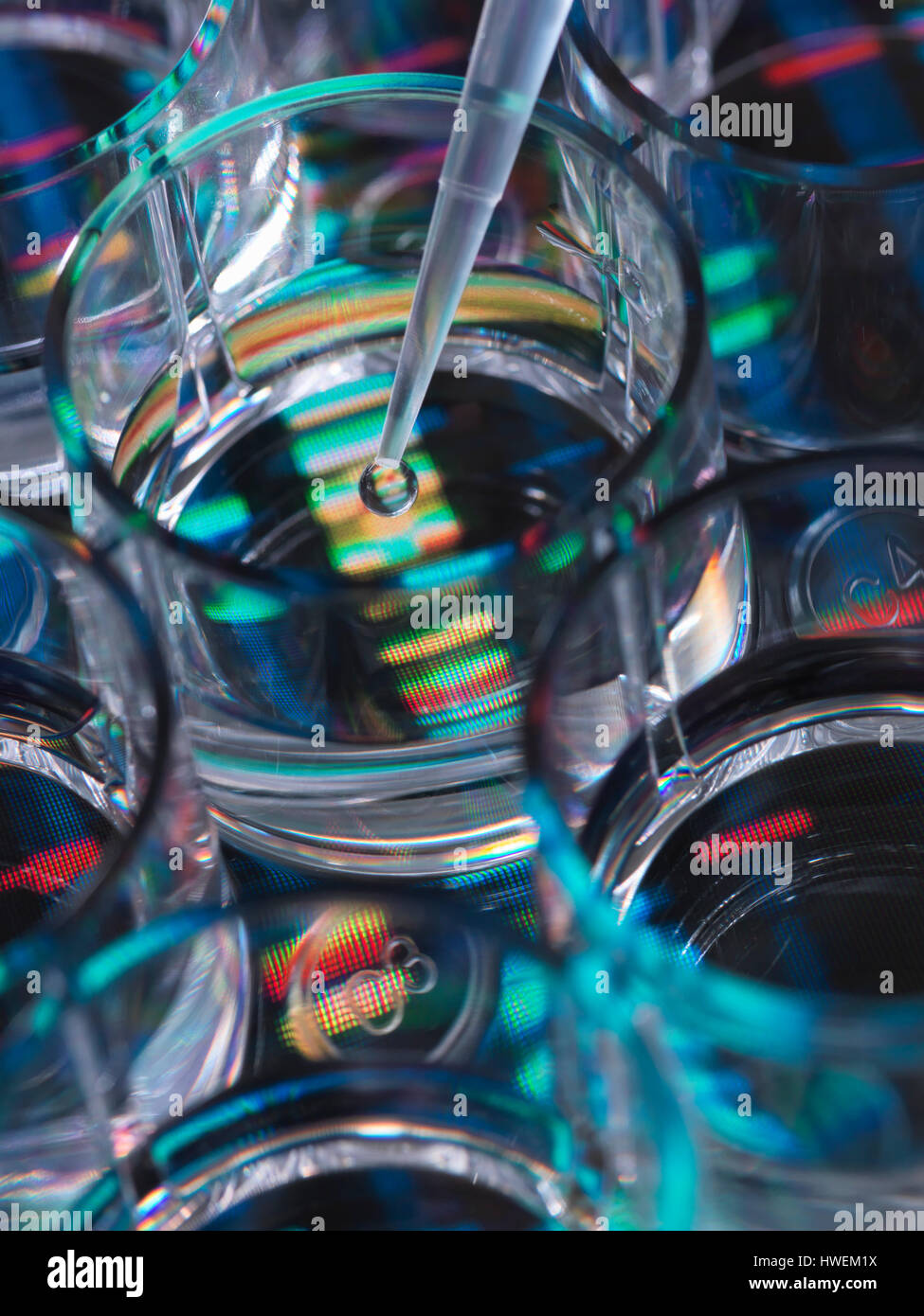 Genforschung, eine menschliche Probe wird in ein Multi-well-Platte für die genetische Analyse sitzt auf DNA-Sequenz pipettiert Stockfoto