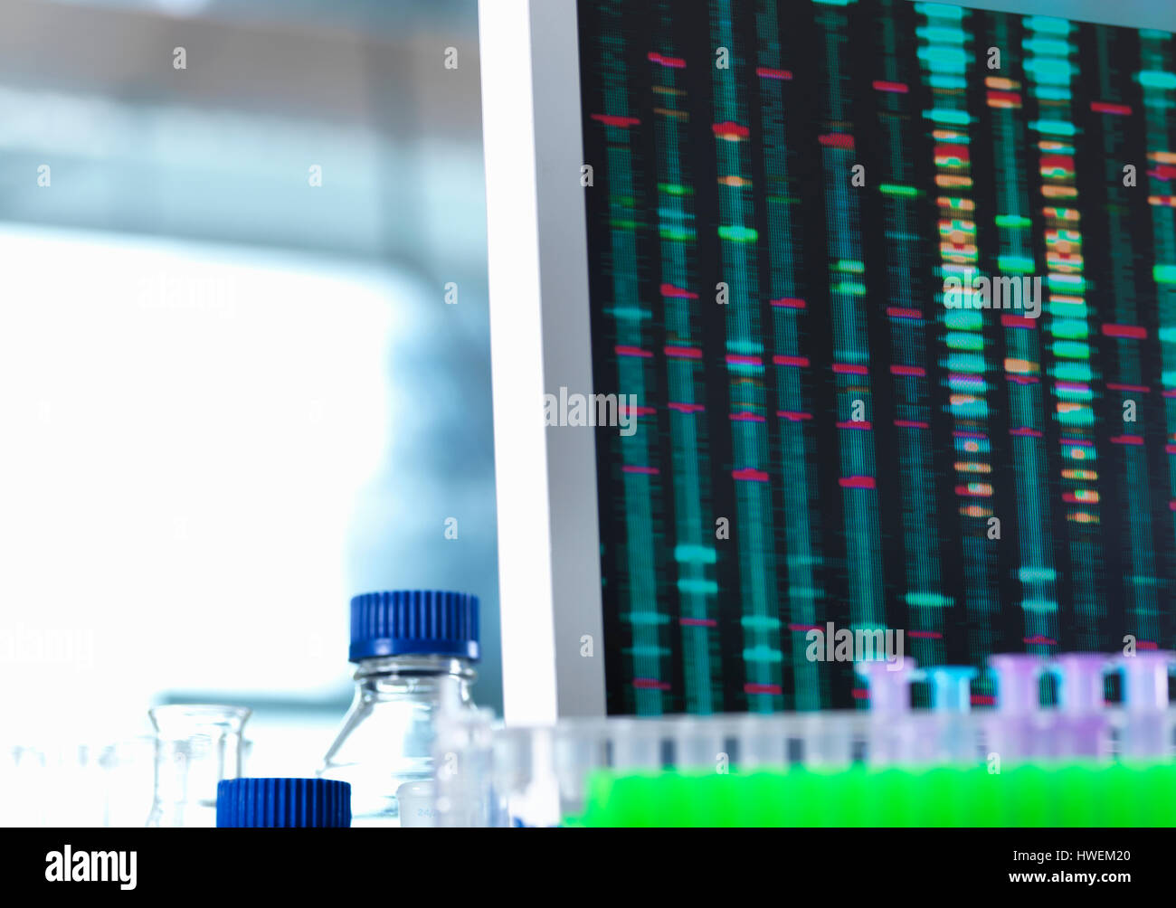 DNA-Forschung, DNA Testergebnisse auf einem Computerbildschirm im Labor mit einem Tablett mit Proben im Vordergrund Stockfoto