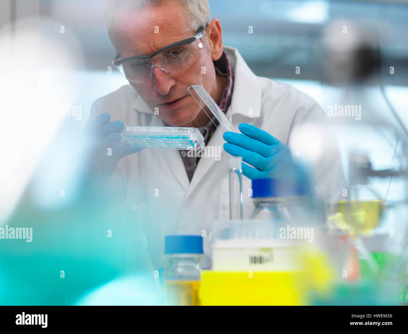 Biotechnologie-Forschung, Wissenschaftler Proben während eines Experiments im Labor in eine Multi-well-Platte anzeigen Stockfoto